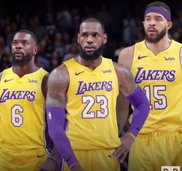 卡佩拉慌了？湖人迎来“饼皇”麦基，队友传球助攻助其大放异彩